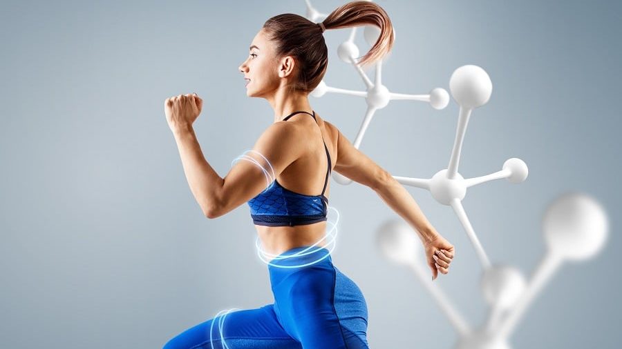 Alles über den Stoffwechsel und Stoffwechselstörungen