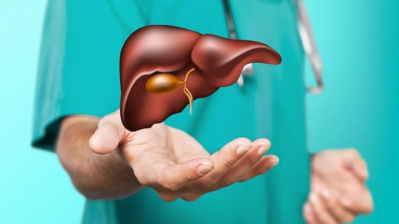 Leberschäden durch grünen Tee & EGCG? Nicht mit tigovit!