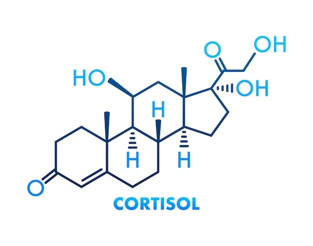 Cortisol: Alles über das Stresshormon und wie es wirkt