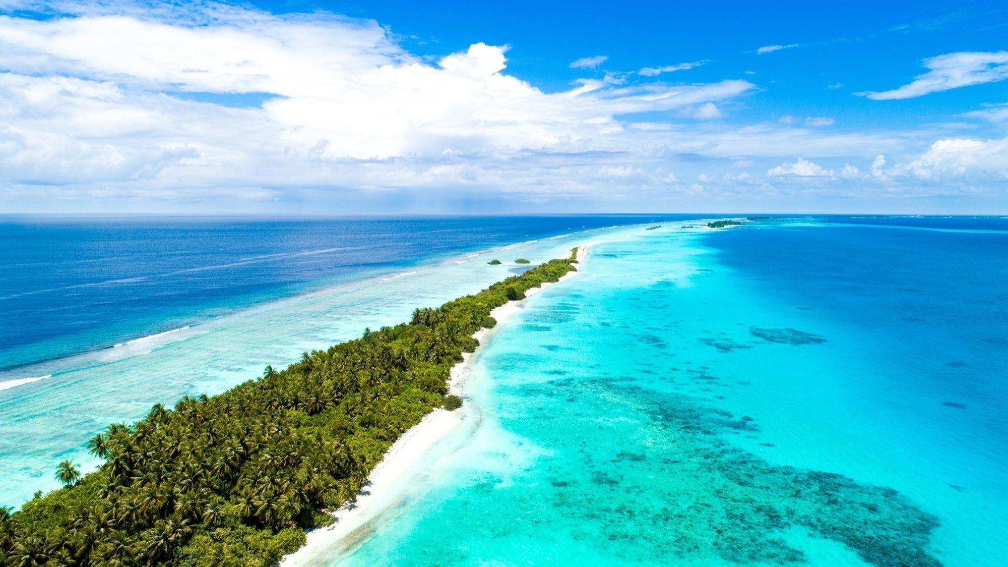 "Blue Zones” und die Rolle des Grünen Tees in Okinawa – Ein Einblick in die Geheimnisse der Langlebigkeit